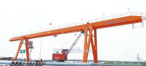 安徽合肥起重機(jī)廠家電動(dòng)葫蘆門行車