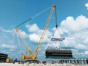 徐工 國產(chǎn)大吊車,僅出口三臺,其中兩臺在這里