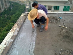 韶關市樂昌市穗興清洗外墻與防水補漏工程公司及南京防水工程服務綜述